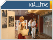 kolonics ki&aacute;ll&iacute;t&aacute;s
