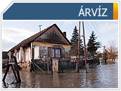 &aacute;rv&iacute;z